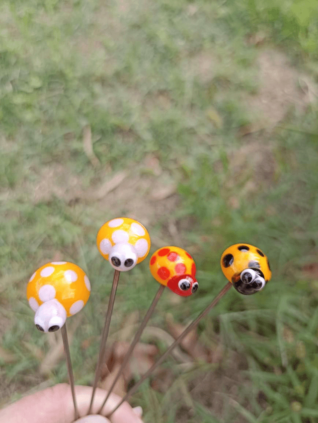 Coccinelle imaginaire 
