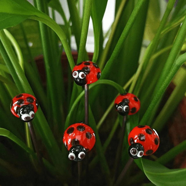 Coccinelle en verre 