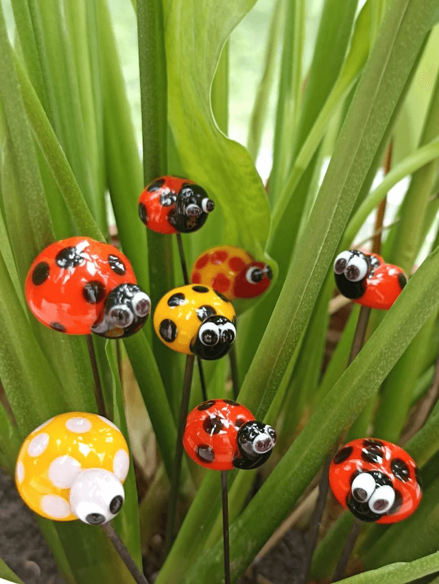 Coccinelle imaginaire 