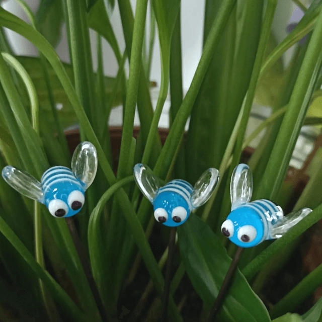 Abeille turquoise 