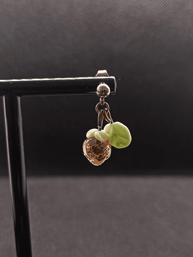 Boucles Fruits 